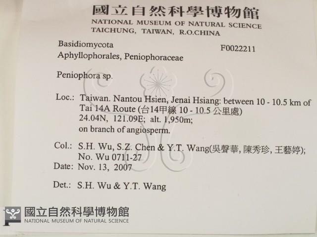 筍殼菌屬藏品圖，第2張