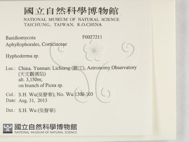 絲皮菌屬藏品圖，第2張
