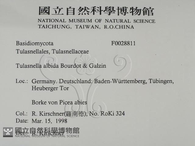 登錄號:F0028811藏品圖，第2張