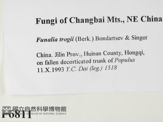 登錄號:F0006811藏品圖，第2張