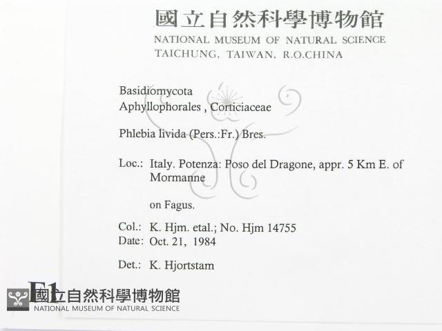 登錄號:F0016811藏品圖，第2張