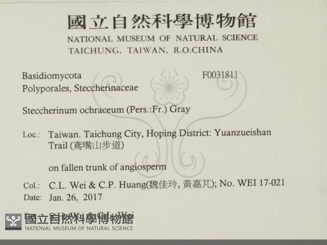 登錄號:F0031811藏品圖，第2張