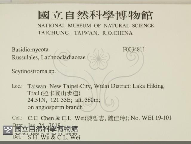 登錄號:F0034811藏品圖，第2張