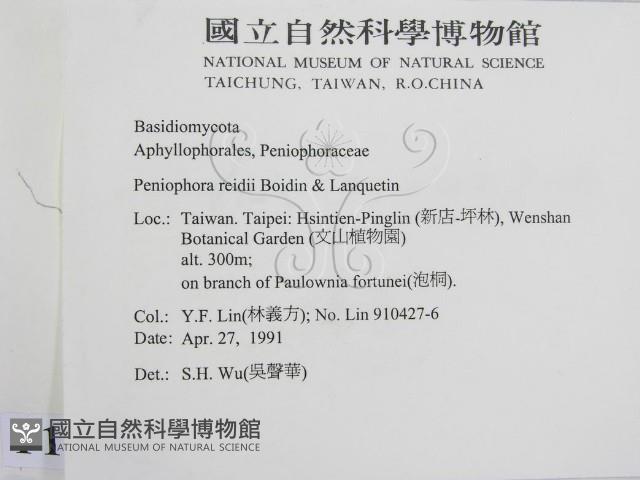登錄號:F0012811藏品圖，第2張