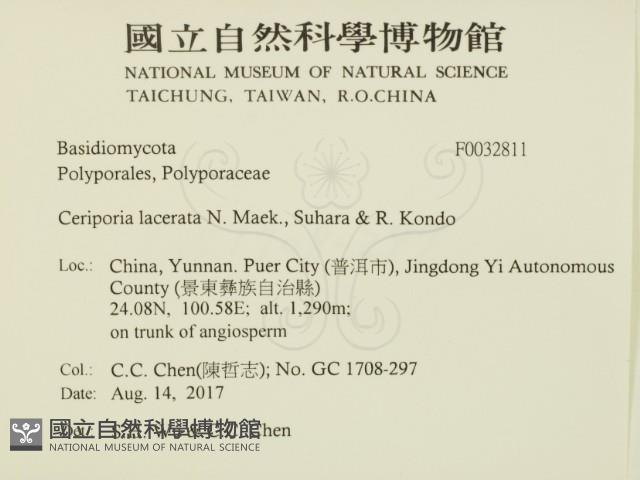 登錄號:F0032811藏品圖，第2張