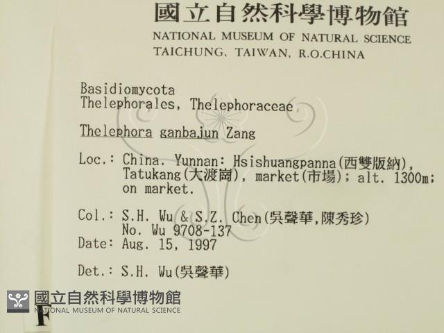 登錄號:F0007811藏品圖，第2張