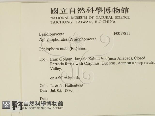 登錄號:F0017811藏品圖，第2張