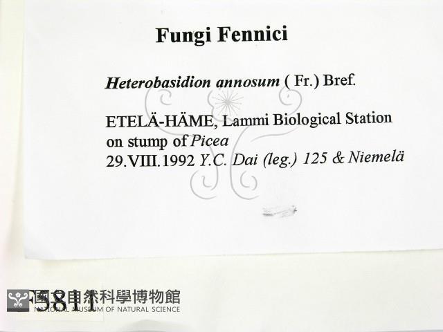 登錄號:F0005811藏品圖，第2張