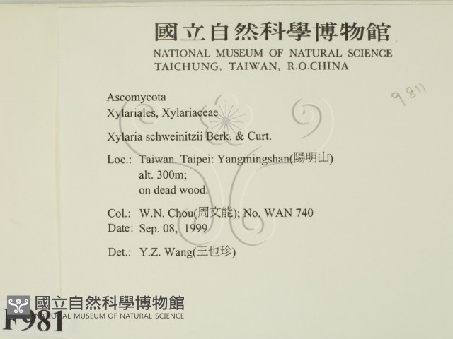 登錄號:F0009811藏品圖，第2張