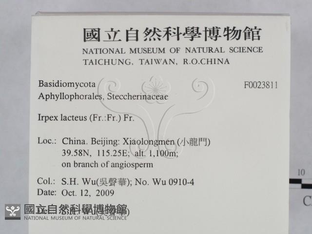 登錄號:F0023811藏品圖，第2張