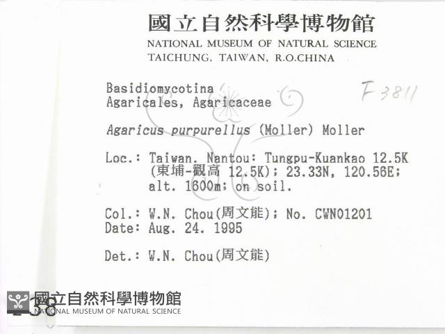 登錄號:F0003811藏品圖，第2張