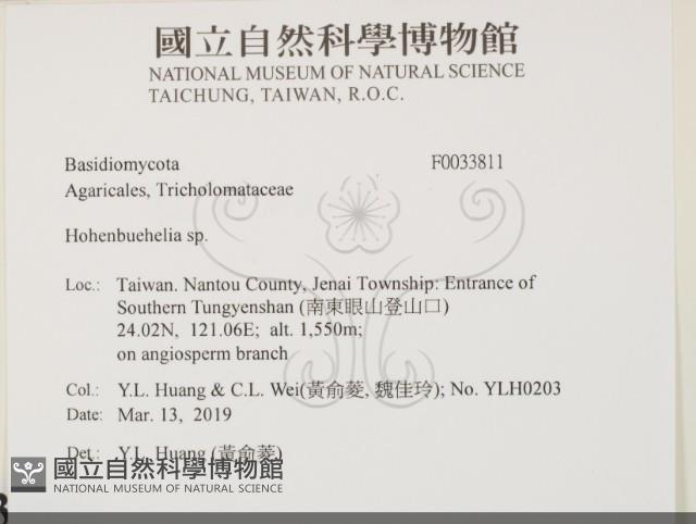 Accession Number:F0033811 Collection Image, Figure 2, Total 2 Figures