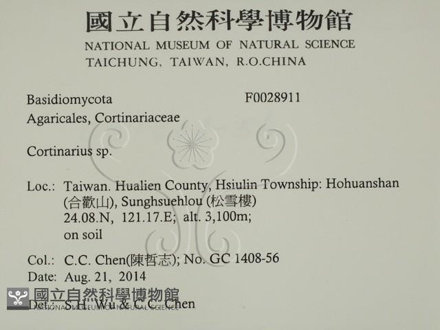 登錄號:F0028911藏品圖，第2張