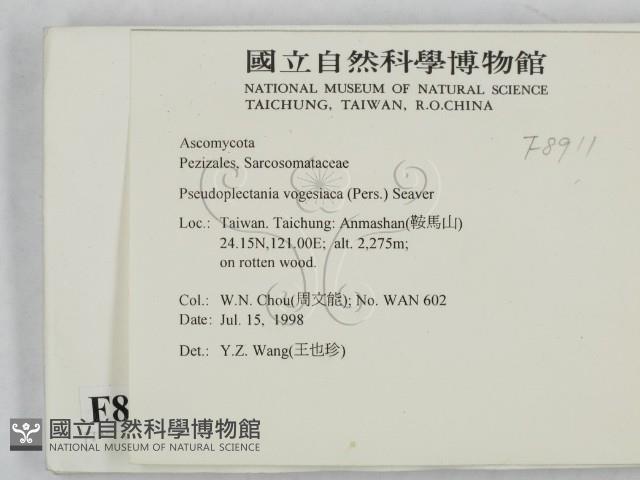 登錄號:F0008911藏品圖，第2張