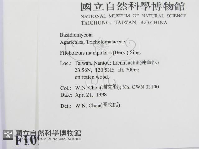 登錄號:F0010911藏品圖，第2張