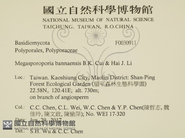 登錄號:F0030911藏品圖，第2張