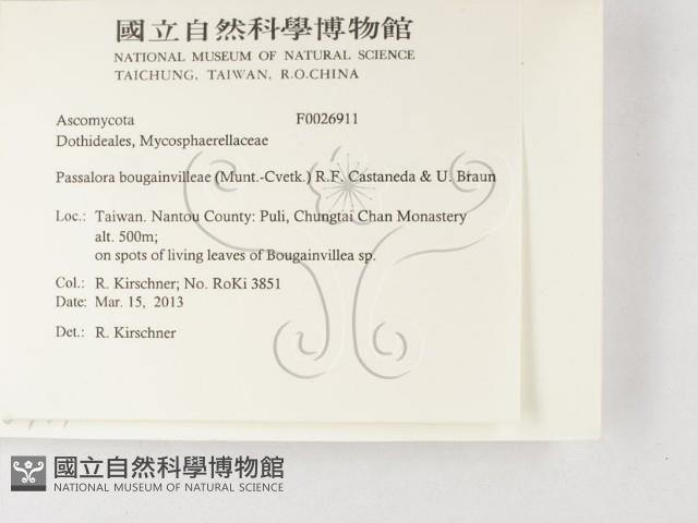 登錄號:F0026911藏品圖，第2張