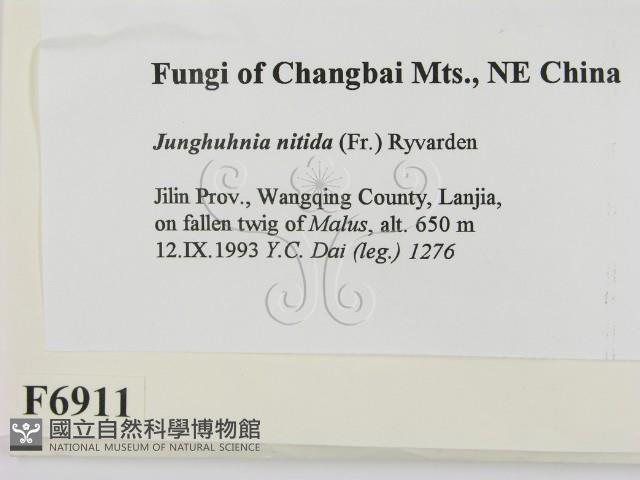 登錄號:F0006911藏品圖，第2張