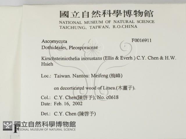 登錄號:F0016911藏品圖，第2張