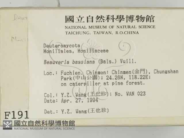 登錄號:F0001911藏品圖，第2張