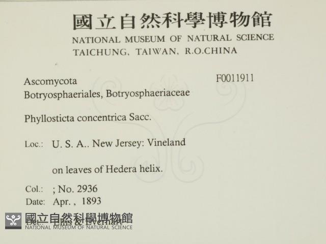 登錄號:F0011911藏品圖，第2張