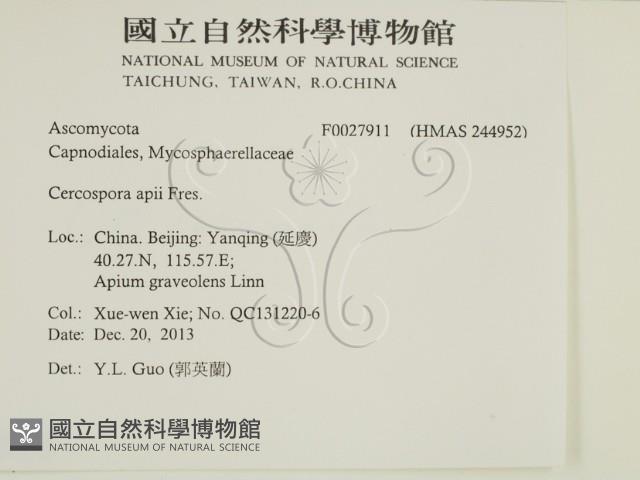 登錄號:F0027911藏品圖，第2張