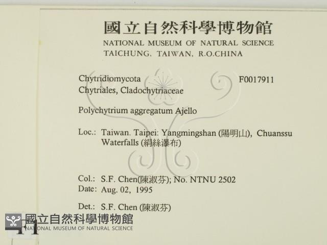 登錄號:F0017911藏品圖，第2張