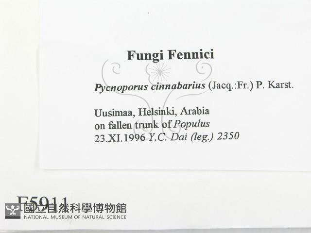 登錄號:F0005911藏品圖，第2張
