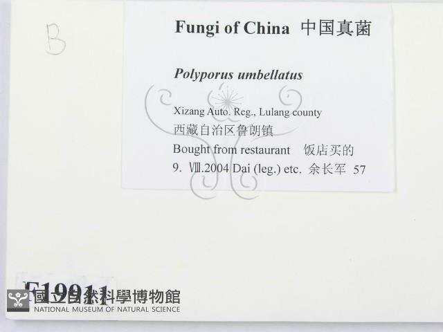 登錄號:F0019911藏品圖，第2張