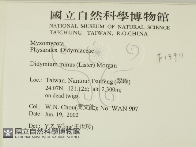 登錄號:F0013911藏品圖，第2張