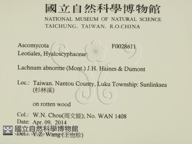 登錄號:F0028611藏品圖，第2張