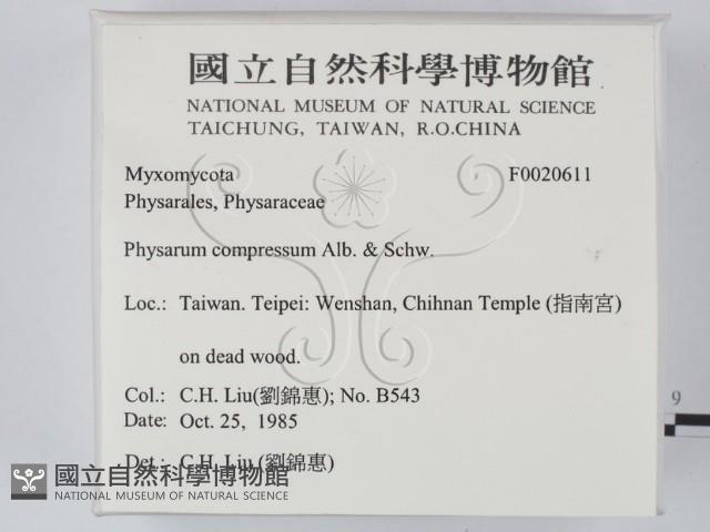 館號:F0020611藏品圖，第2張