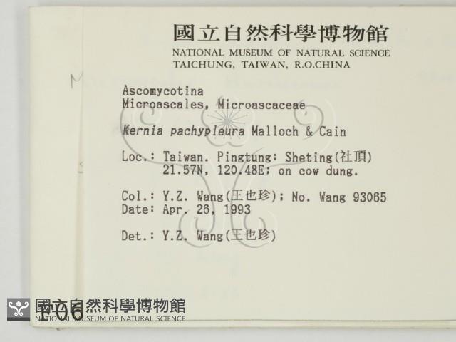 登錄號:F0000611藏品圖，第2張