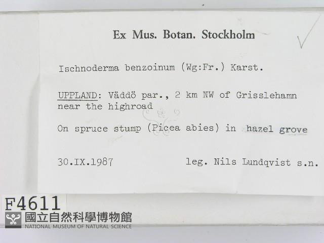 登錄號:F0004611藏品圖，第2張