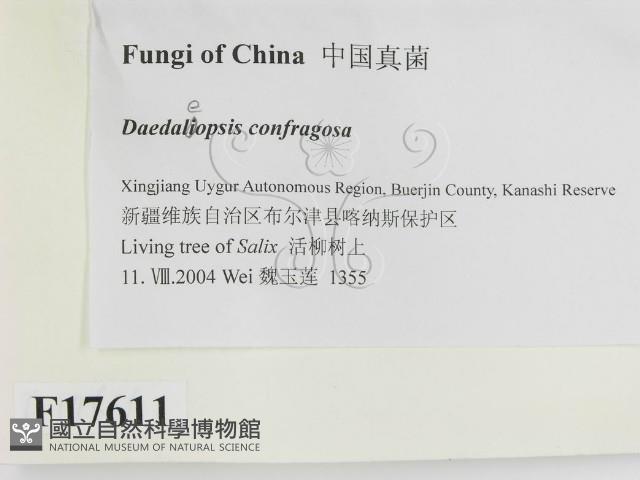 登錄號:F0017611藏品圖，第2張