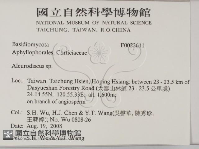 盤革菌屬藏品圖，第2張