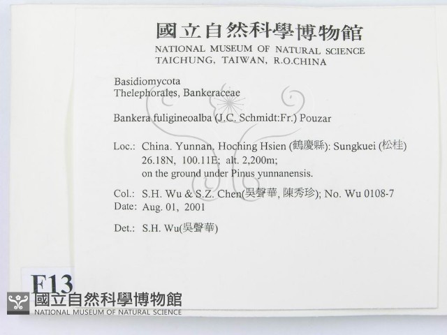 登錄號:F0013611藏品圖，第2張