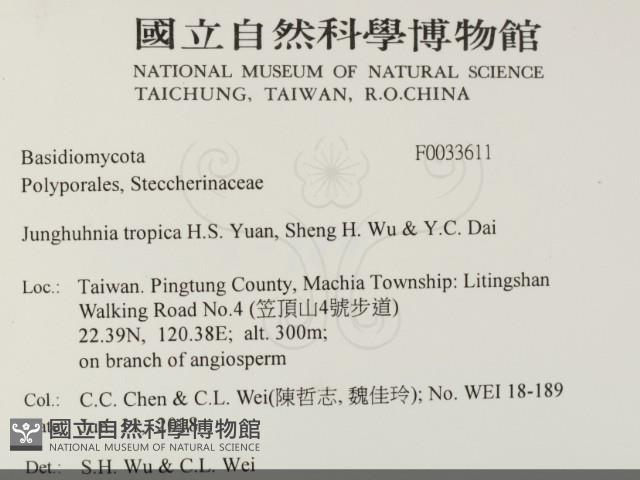 登錄號:F0033611藏品圖，第2張