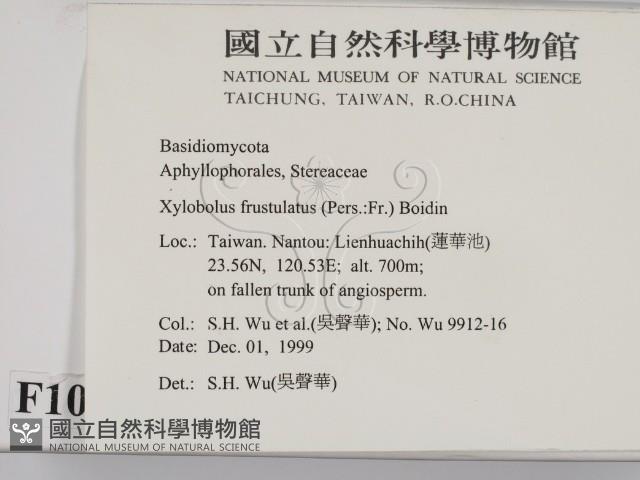 登錄號:F0010411藏品圖，第2張