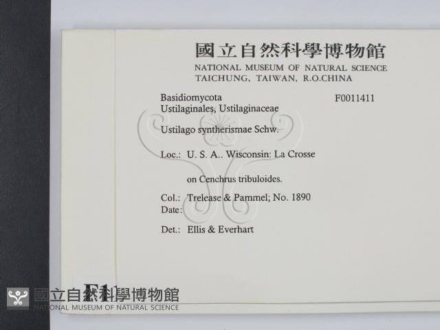 登錄號:F0011411藏品圖，第2張