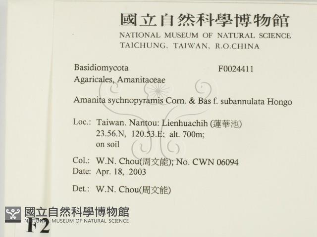 登錄號:F0024411藏品圖，第2張