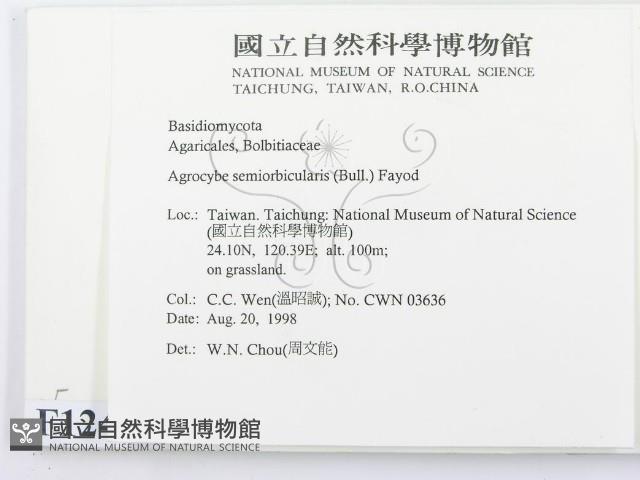 登錄號:F0012411藏品圖，第2張