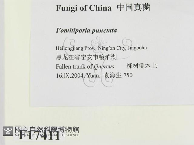 登錄號:F0017411藏品圖，第2張