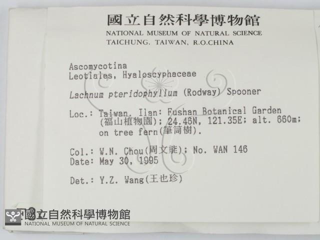 登錄號:F0003411藏品圖，第2張