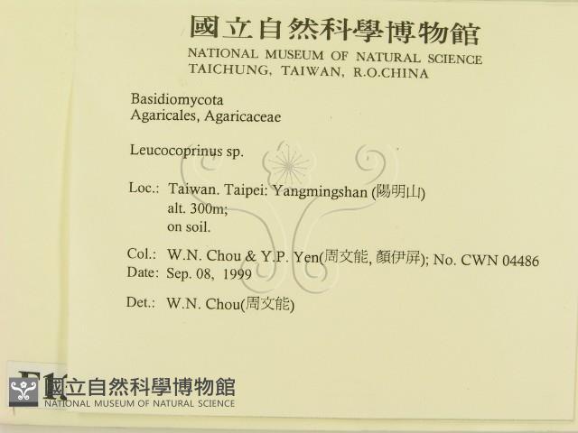 登錄號:F0013411藏品圖，第2張