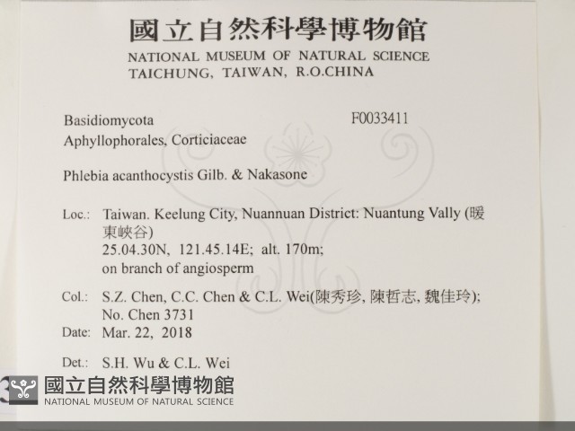 登錄號:F0033411藏品圖，第2張