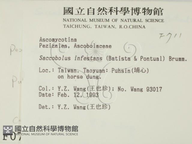 登錄號:F0000711藏品圖，第2張