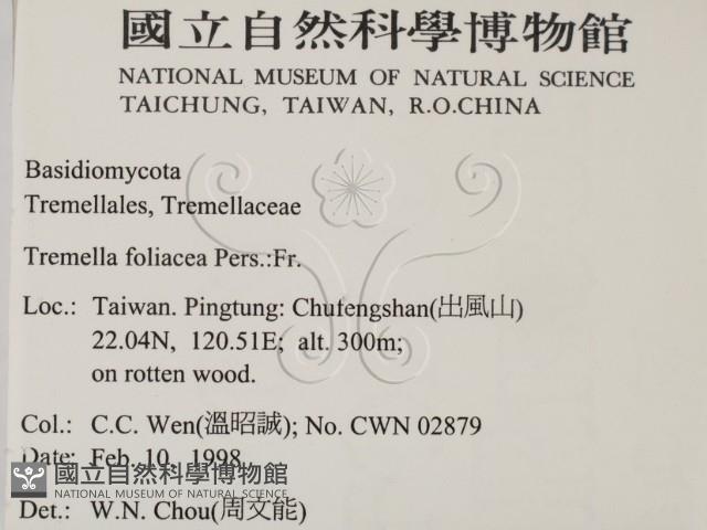 登錄號:F0010711藏品圖，第2張