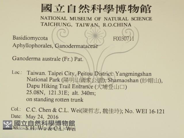 登錄號:F0030711藏品圖，第2張