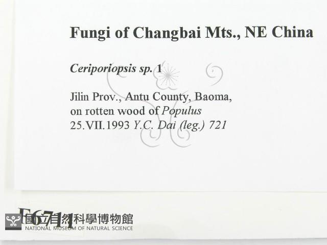 登錄號:F0006711藏品圖，第2張